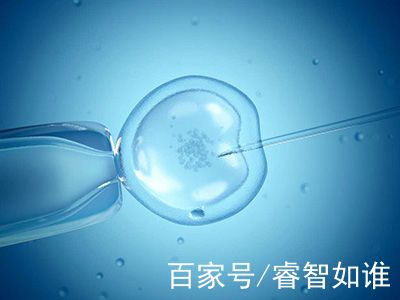 实验室 Fig.02